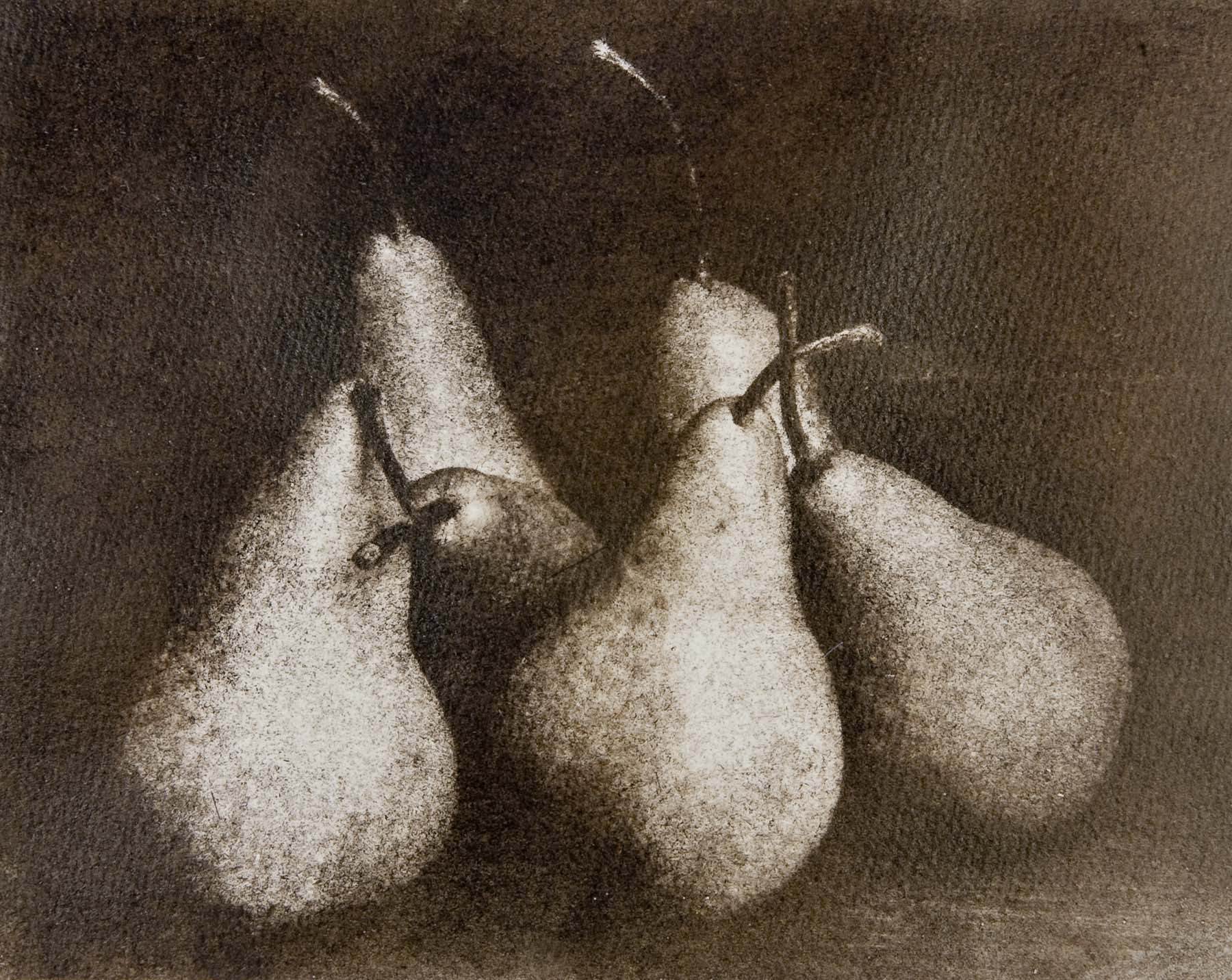 Oil Printing Updating a Classic Process Larry Shapiro Photography